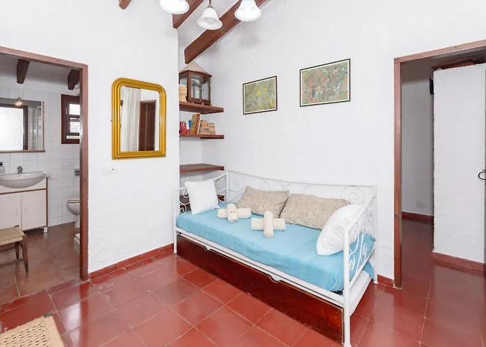 Cavall Menor Willa *