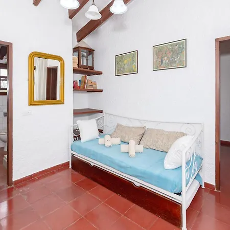 Cavall Menor Willa *